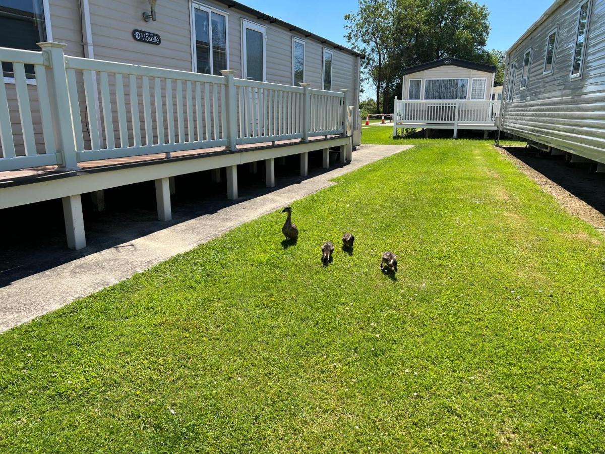 Dragonfly Lodge South Cerney Dış mekan fotoğraf